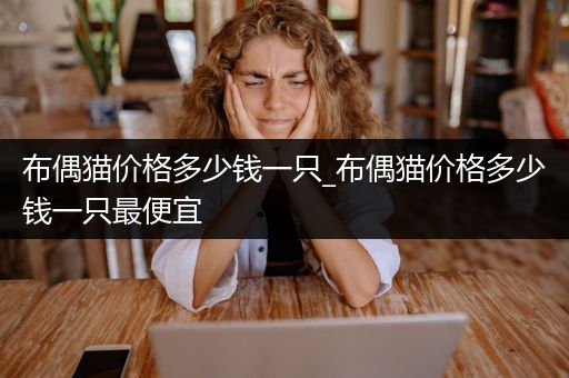 布偶猫价格多少钱一只_布偶猫价格多少钱一只最便宜